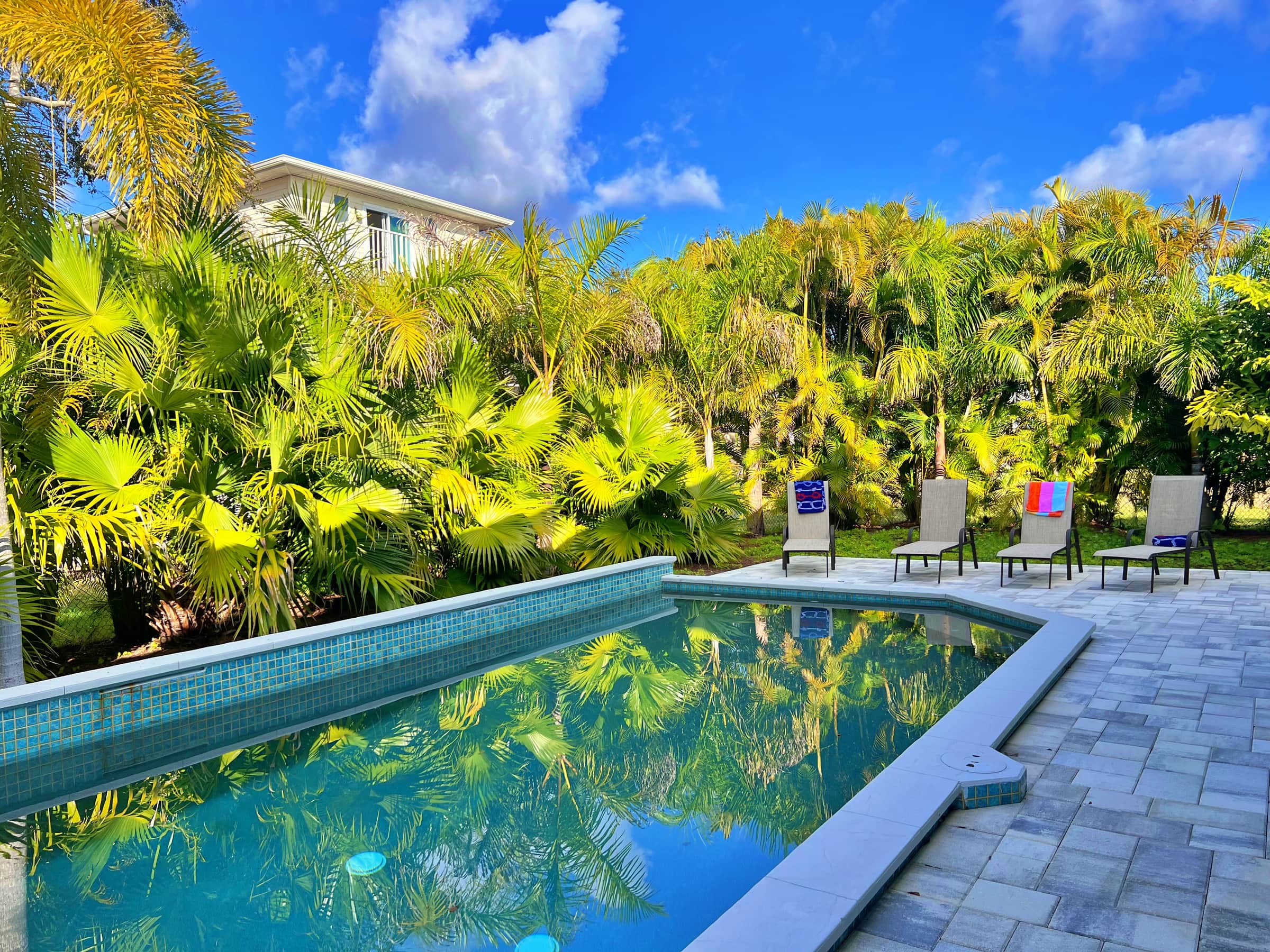 Pool lined with palms at SkyWater Retreat